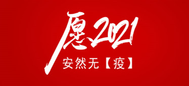 2020这【疫】年我们共同撑过了，愿2021安然无【疫】！